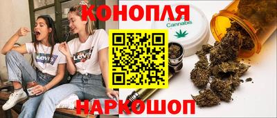 сатива Гатчина