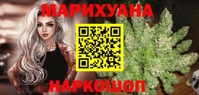 сатива Гатчина